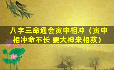 八字三命通会寅申相冲（寅申相冲命不长 要大神来相救）